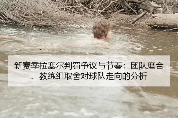 新赛季拉塞尔判罚争议与节奏：团队磨合、教练组取舍对球队走向的分析